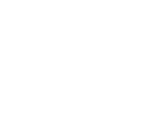 FlexiiDome